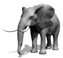 gajah imej-animasi-gif